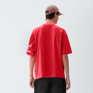 DREAMER - Wanderer of the Universe